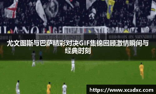 3377体育网站